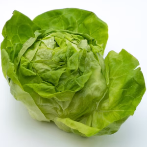 Cabbage